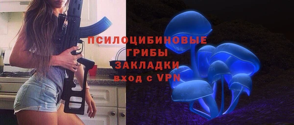 apvp Алзамай