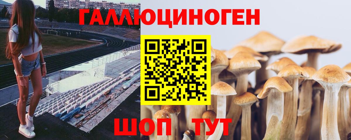 Галлюциногенные грибы мухоморы Тавда